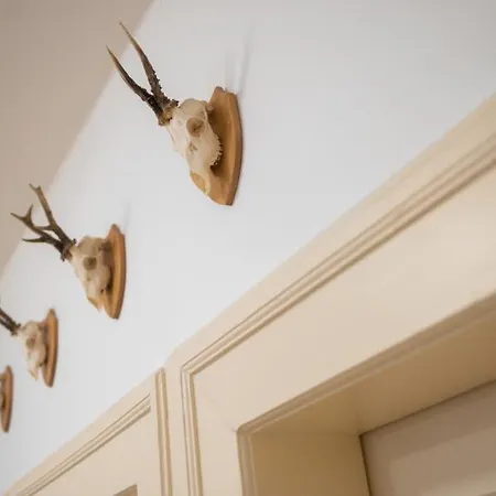 Hajenka منزل ريفي *