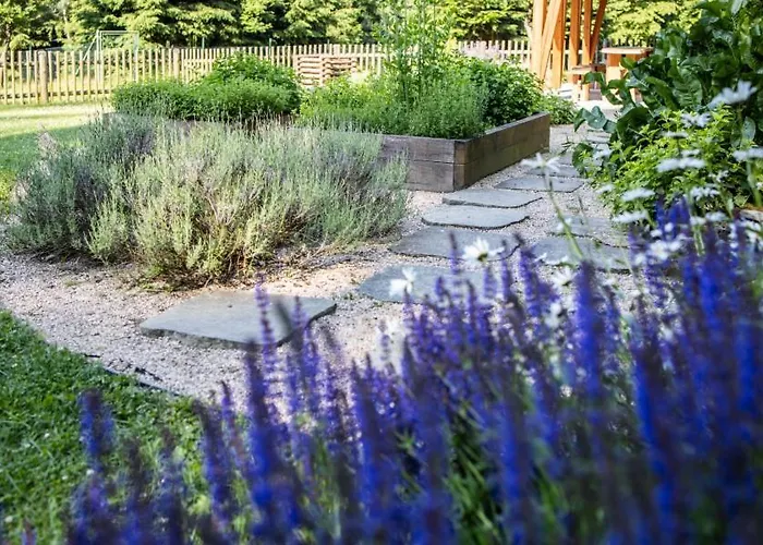Gospodarstwo wiejskie Hajenka Budislav (Svitavy)
