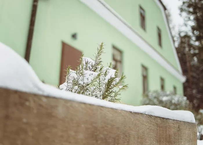 Hajenka * Budislav (Svitavy)